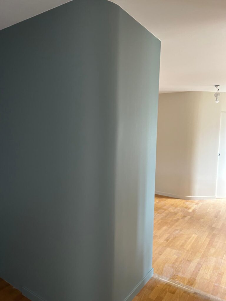 cloison courbe placo realisation lyon